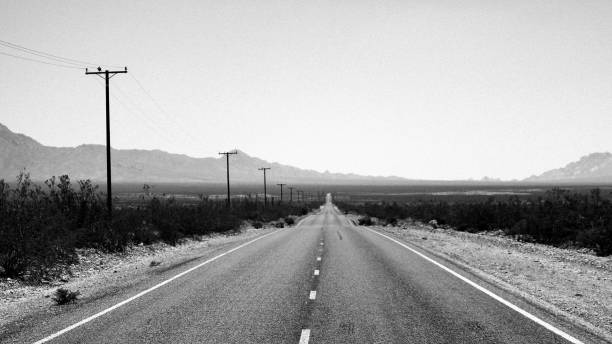 Lolita as an American Road Novel